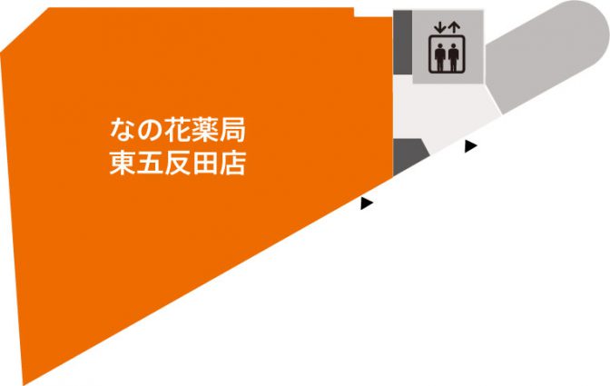 1F画像