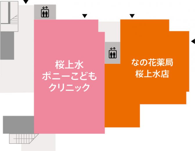 1F画像