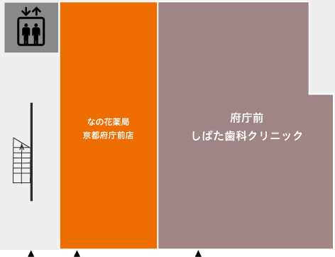 1F画像