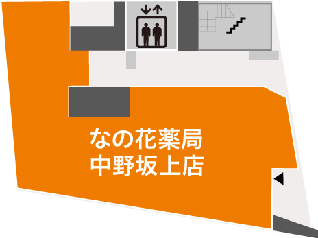 1F画像