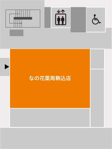 1F画像