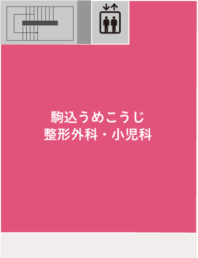 3F画像